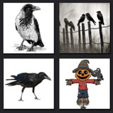  The Crow 