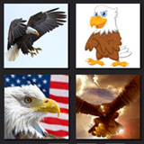  The Eagle 