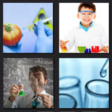  The Experiment 