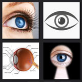  The Eye 