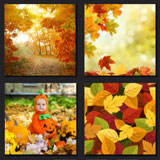  The Fall 