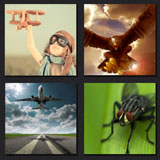  The Fly 