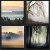  The Fog 