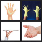  The Hand 