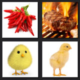  The Hot Chick 