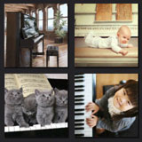  The Piano 