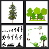  The Tree Of Life 