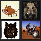  Wild Hogs 