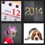  Year Of The Dog 
