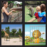  Zoo 