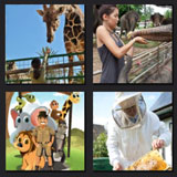  Zookeeper 